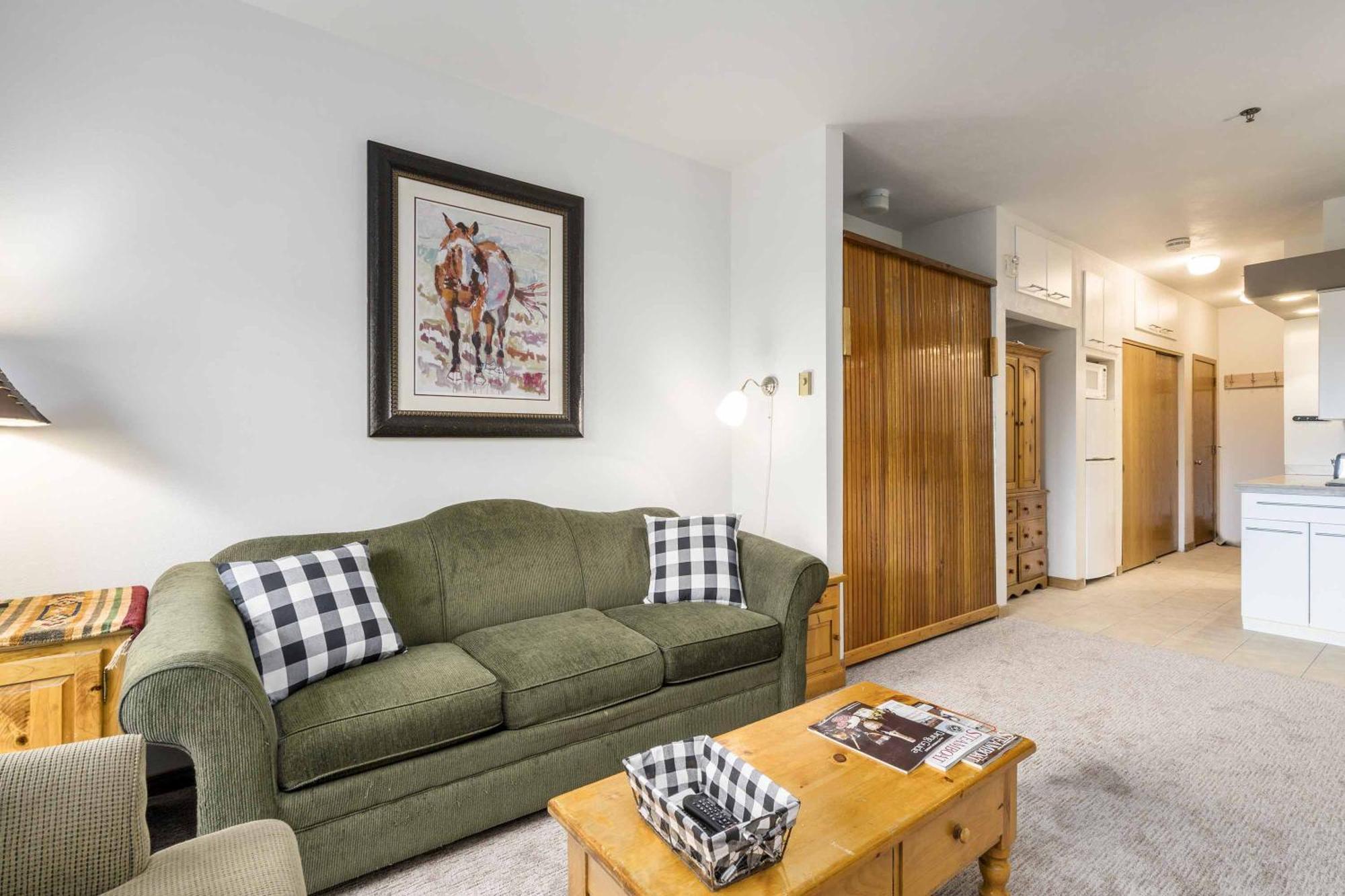 Snow Flower Condos Steamboat Springs Room photo